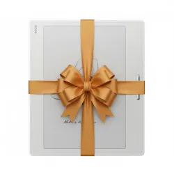 Onyx Boox Go 7 Biały